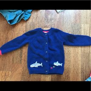 Blue Cardigan/sweater